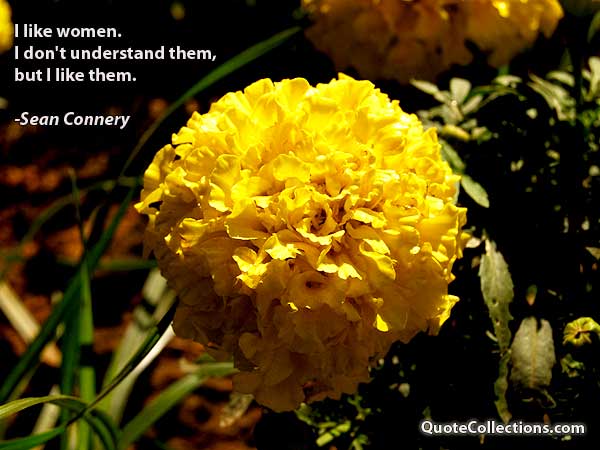 Sean Connery Quotes4